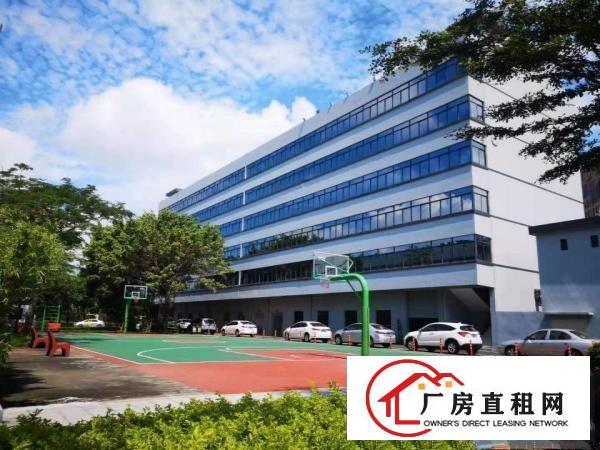  石排龙腾路边花园式厂房三楼300平米招租现成水电装修研发办公