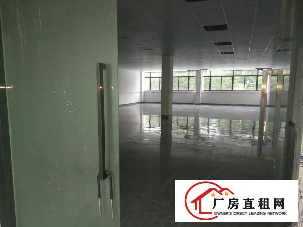  石排龙腾路边花园式厂房三楼300平米招租现成水电装修研发办公
