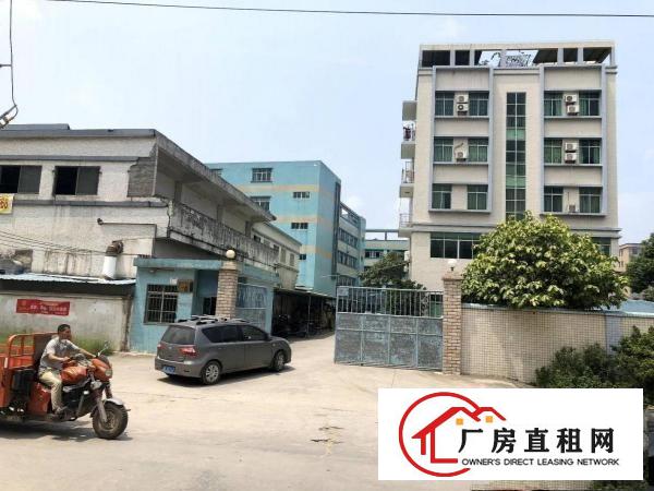 石排新出原房东独门独院标准厂房出租