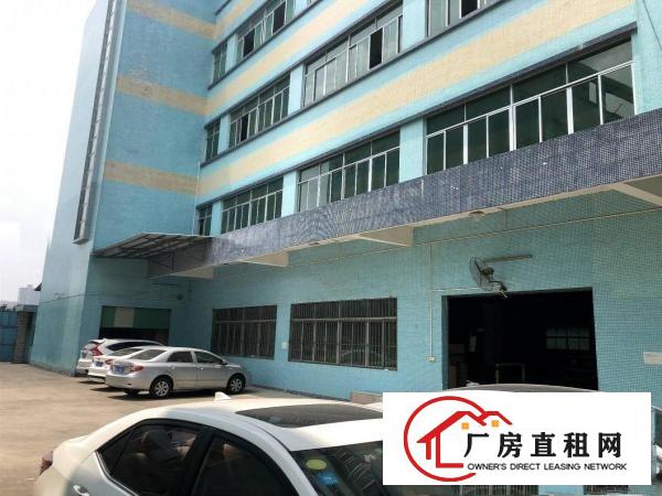  石排新出原房东独门独院标准厂房出租