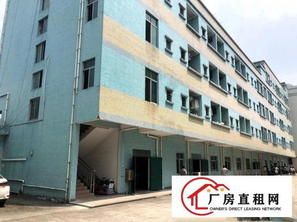  石排新出原房东独门独院标准厂房出租