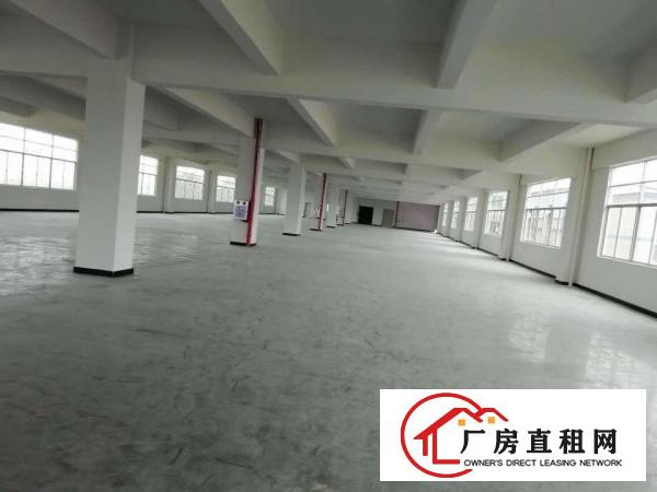  石排新出原房东独门独院标准厂房出租