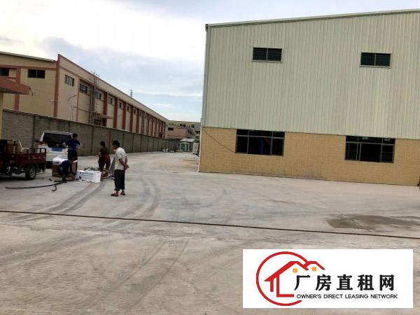  石排中坑原房东单一层760平方招租，高度7米，水电齐全。