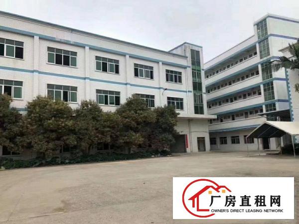  石排镇原房东3层标准独院厂房出租标准厂房独院出租
