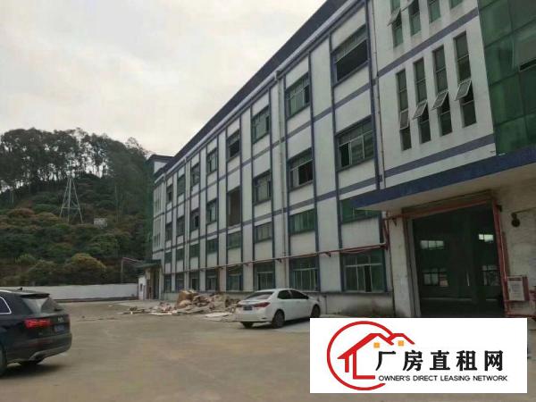  石排镇原房东3层标准独院厂房出租标准厂房独院出租