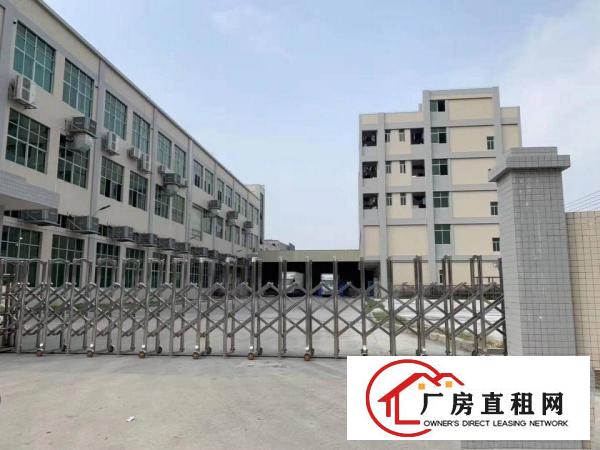  石排镇原房东3层标准独院厂房出租标准厂房独院出租