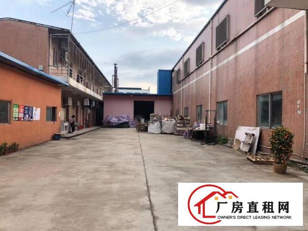  石排镇原房东3层标准独院厂房出租标准厂房独院出租