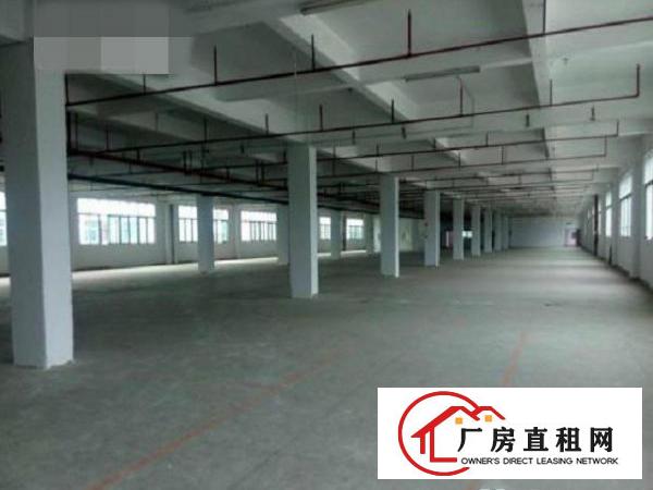  东莞石排新岀独院标准厂房2500平方出租带喷淋消防