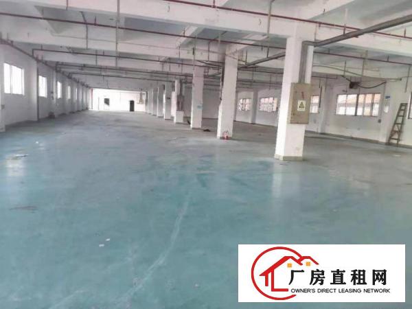  工业园区标准一楼租16元！