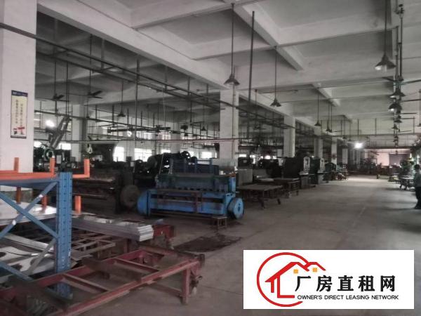  石排标准厂房一楼800平方米出租，现成水电装修