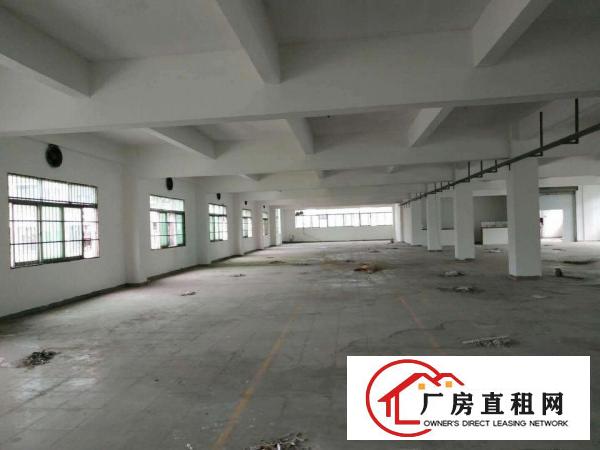  急，急，急，给钱就放租