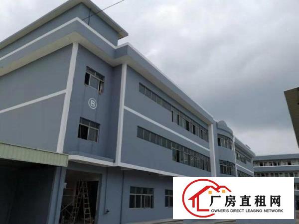 石排福隆标准工业园分租一楼或楼上500~1500平，可办环评