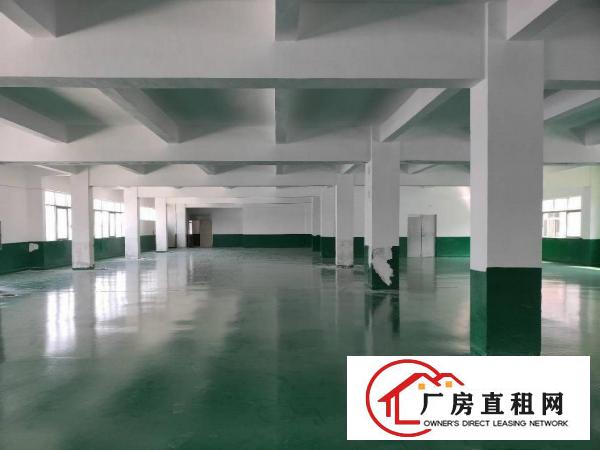  石排福隆标准工业园分租一楼或楼上500~1500平，可办环评