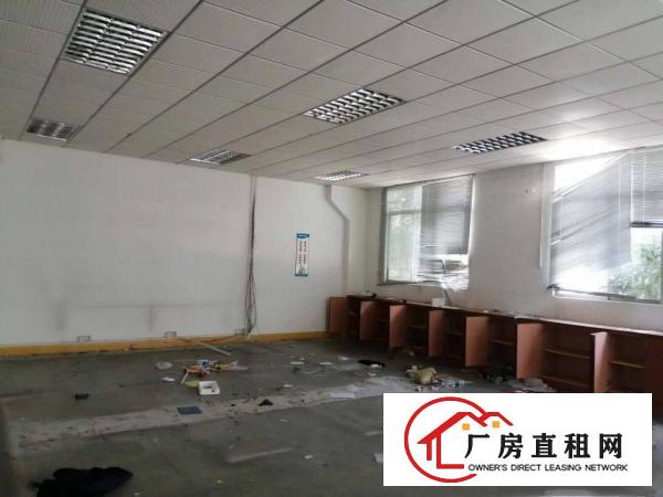  石排田寮单一层独院混凝土结构2000平方招租，空地3000平