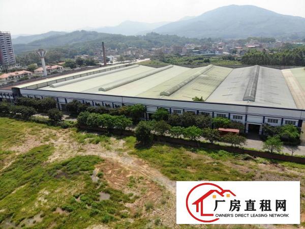  石排安博标准物流仓储厂房出租