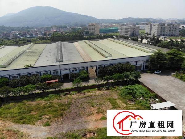  石排安博标准物流仓储厂房出租
