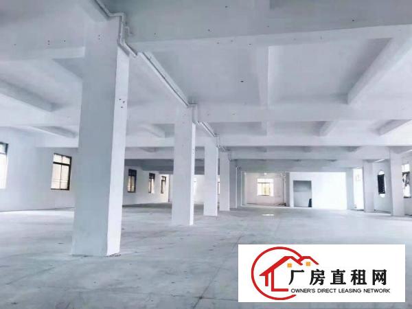  办公室漂亮！适合电商精装修直接办公三楼1100平方