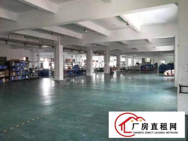  8000方原房东标准独院，空地大，证件齐全