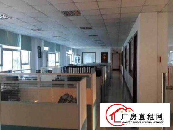  石排新出独院标准厂房3400平米厂房出租