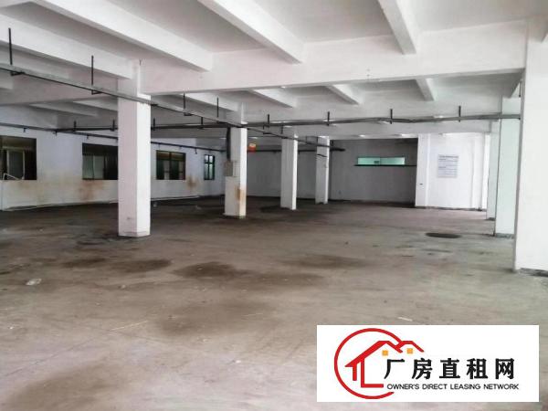  一楼厂房招租，石排镇标准厂房出租一楼1000平方