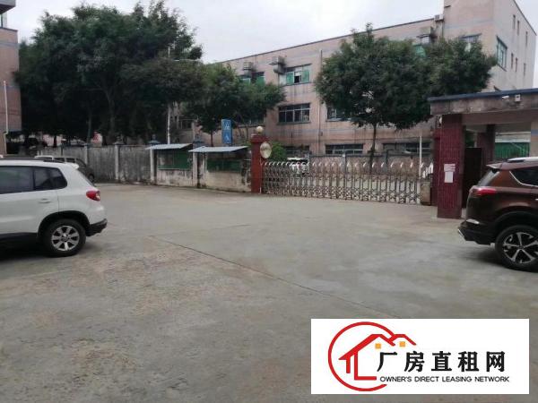  一楼厂房招租，石排镇标准厂房出租一楼1000平方