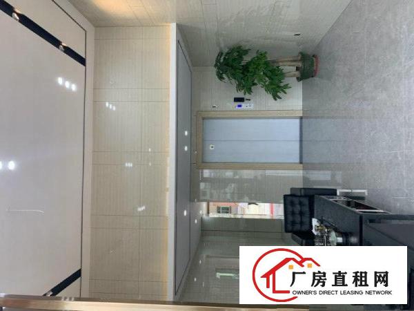  非中介石排高新园招租中可分租研发办公厂房电商展厅教育培训等