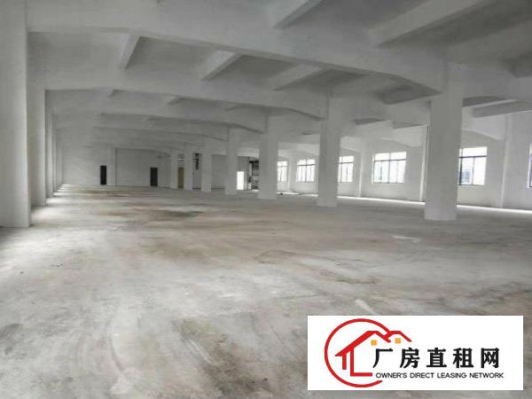  非中介石排高新园招租中可分租研发办公厂房电商展厅教育培训等
