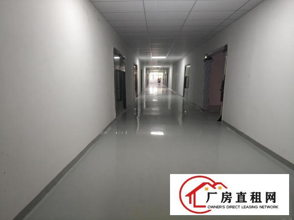  石排主干道旁260平米二楼场地现成装修出租研发组装办公仓库