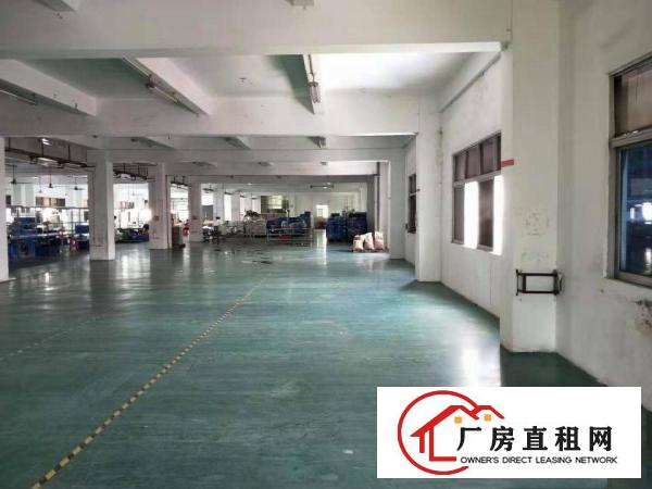  石排福隆原房东标准厂房3层7350平方招租，空地超大