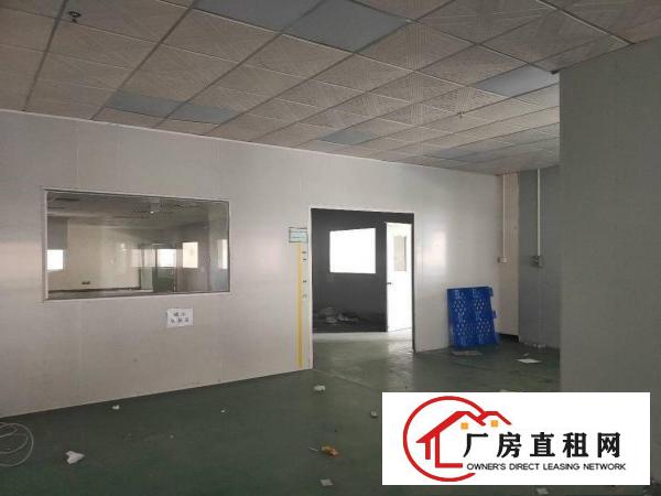  石排福隆小加工厂房500~1200平方低价招租，适量污染可做