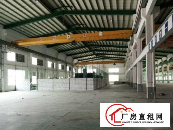  石排新出单一层砖墙到顶厂房4500平方出租