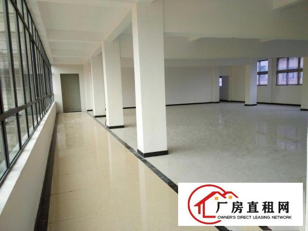  石排新出单一层砖墙到顶厂房4500平方出租