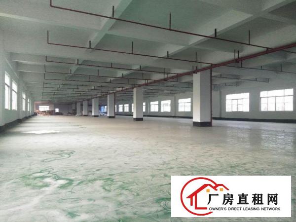  凤岗五联厂房出租带消防喷淋一二楼各2000平可分租