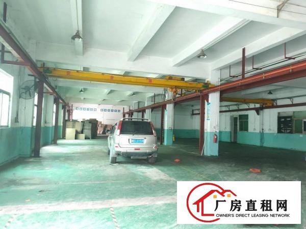  大朗原房东厂房出租一楼二楼各1100平带装修有行车