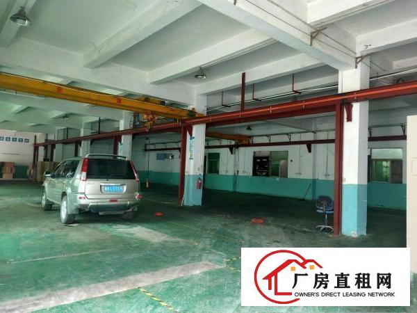  大朗原房东厂房出租一楼二楼各1100平带装修有行车