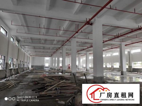  大型工业区独院每层3500平米带地坪漆一手房东实际面积