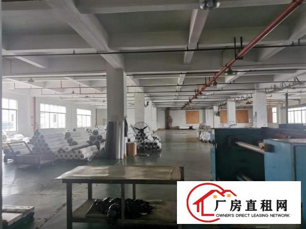  大型工业区独院每层3500平米带地坪漆一手房东实际面积