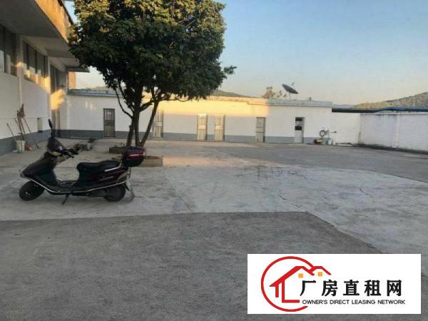  厂房出租！石龙镇原房东厂房出租！可整租，可分租！位置好空地大