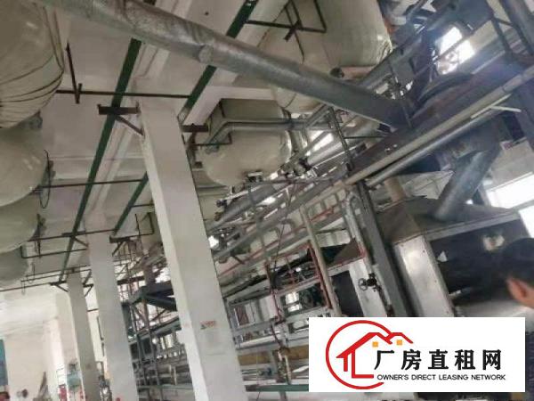  厂房出租！石龙镇原房东厂房出租！可整租，可分租！位置好空地大