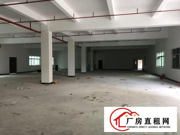  东莞火车站附近原房东3000平米精装修独门独院厂房招租可分租