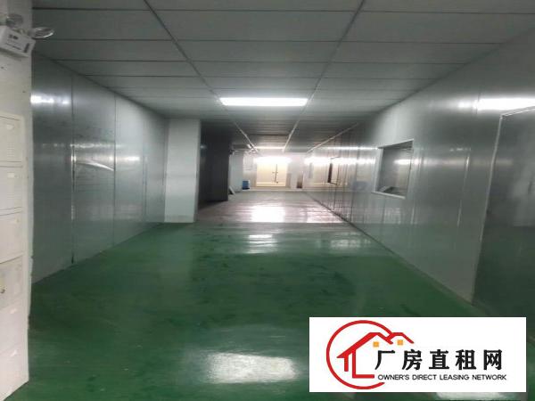  火车站新出独院7000平米带无尘车间可以分租