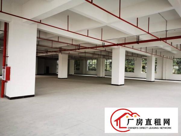  东坑镇标准厂房出租可做污染周边无居民带喷油喷漆喷粉环评
