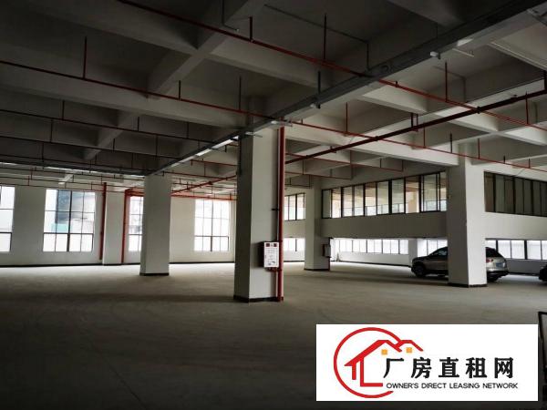  东坑镇标准厂房出租可做污染周边无居民带喷油喷漆喷粉环评