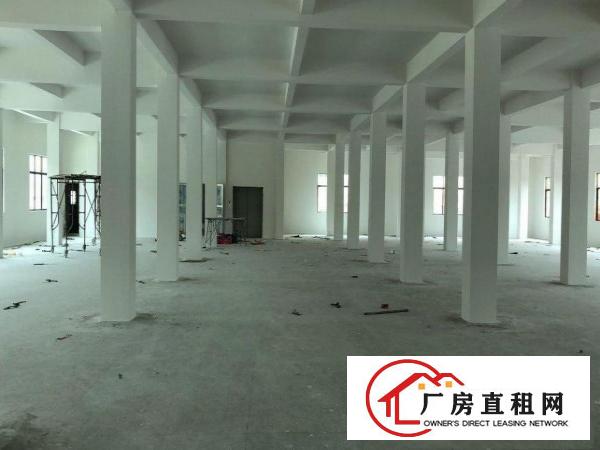  二楼三楼出租整层出租
