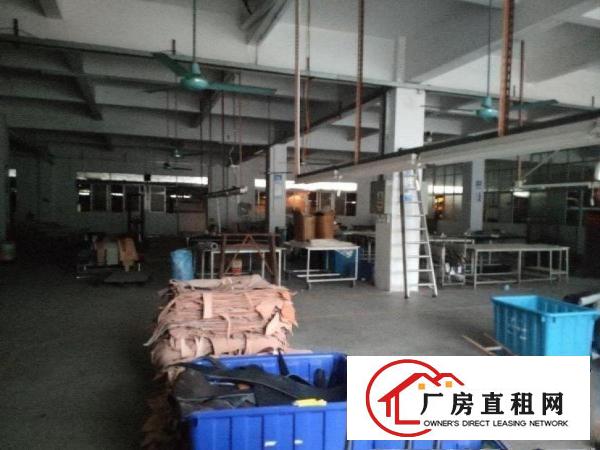  石碣水南一楼原房东厂房1100平厂房招租！面积实在！