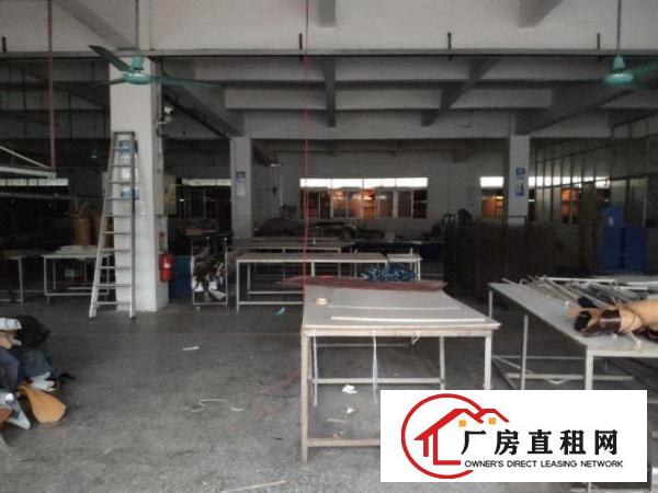  石碣水南一楼原房东厂房1100平厂房招租！面积实在！