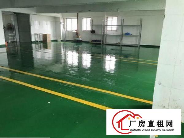  单屋新出楼上标准厂房1000平方装修分租，400平起租