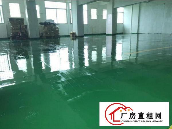  单屋新出楼上标准厂房1000平方装修分租，400平起租