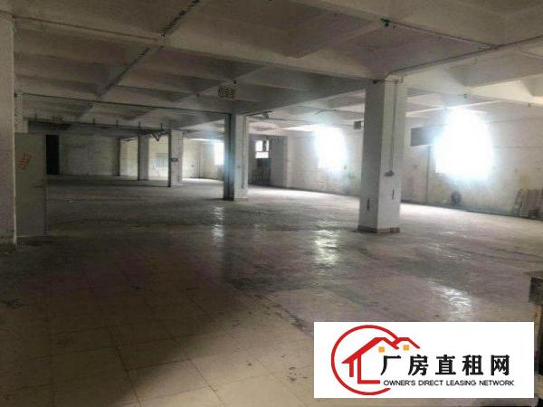 鹤田厦工业区本地房东自家厂房800平方交通便利