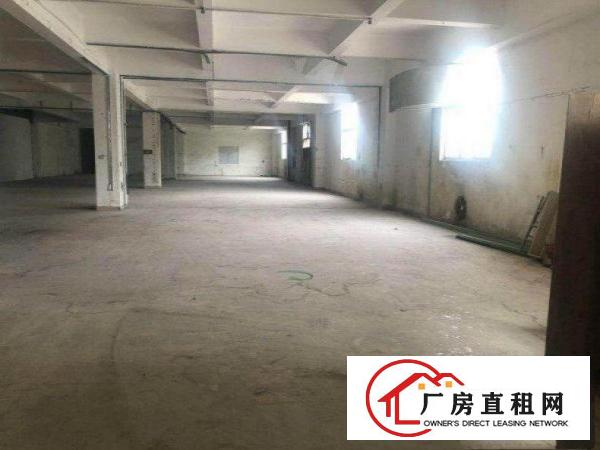  鹤田厦工业区本地房东自家厂房800平方交通便利